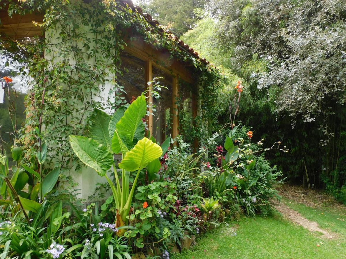 San Nicolas By Rotamundos San Cristóbal de Las Casas Екстериор снимка